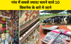गांव में सबसे ज्यादा चलने वाले 10 बिसनेस के बारे मे जाने